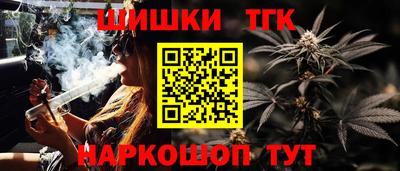 крисы Тулун