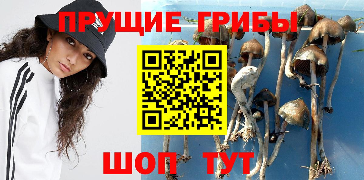 Нижний Тагил  Псилоцибиновые грибы Psilocybine cubensis  Вход с VPN  Галлюциногенные грибы Cubensis 